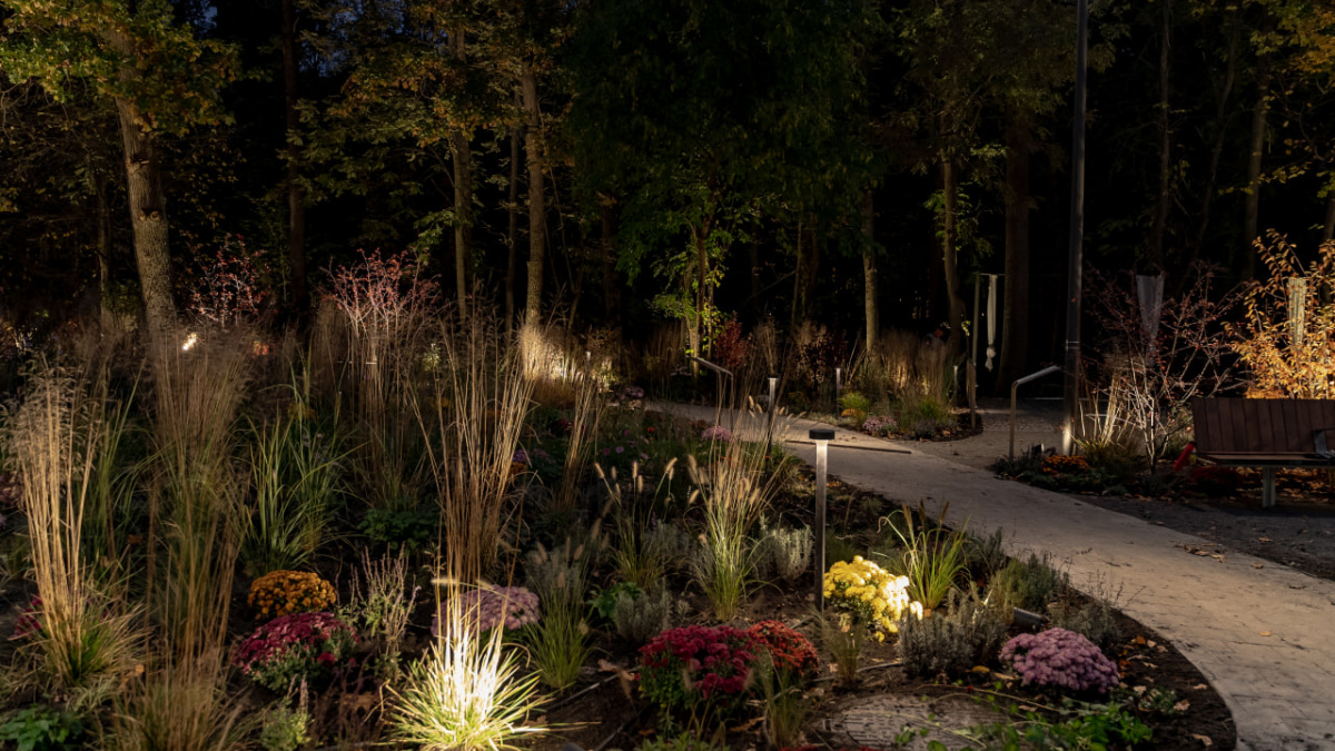 На ВДНГ відкрили Терапевтичний сад: який він має вигляд