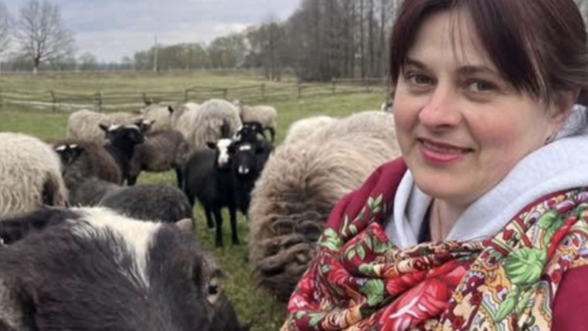 Дружина ветерана Олеся Паламарюк отримала грант та створила овечу ферму на Буковині – історія
