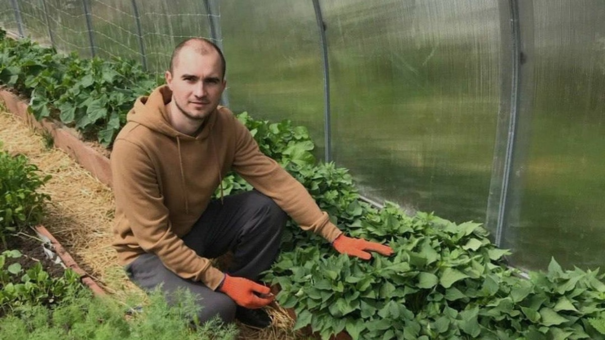 Ветеран АТО, захисник, фермер: як Іван Павліш вирощує екзотичний батат на Львівщині