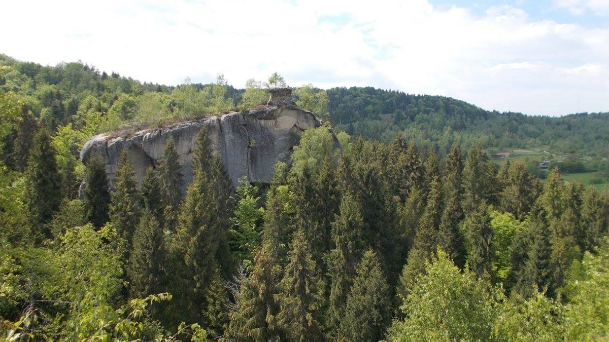 Весняна горотерапія: ветеранів та ветеранок запрошують відпочити в Прикарпатті