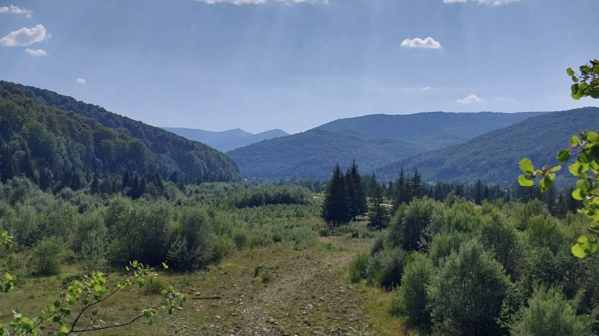 Ветеранів запрошують на відновлення до Карпат – деталі програми "Шлях до себе"