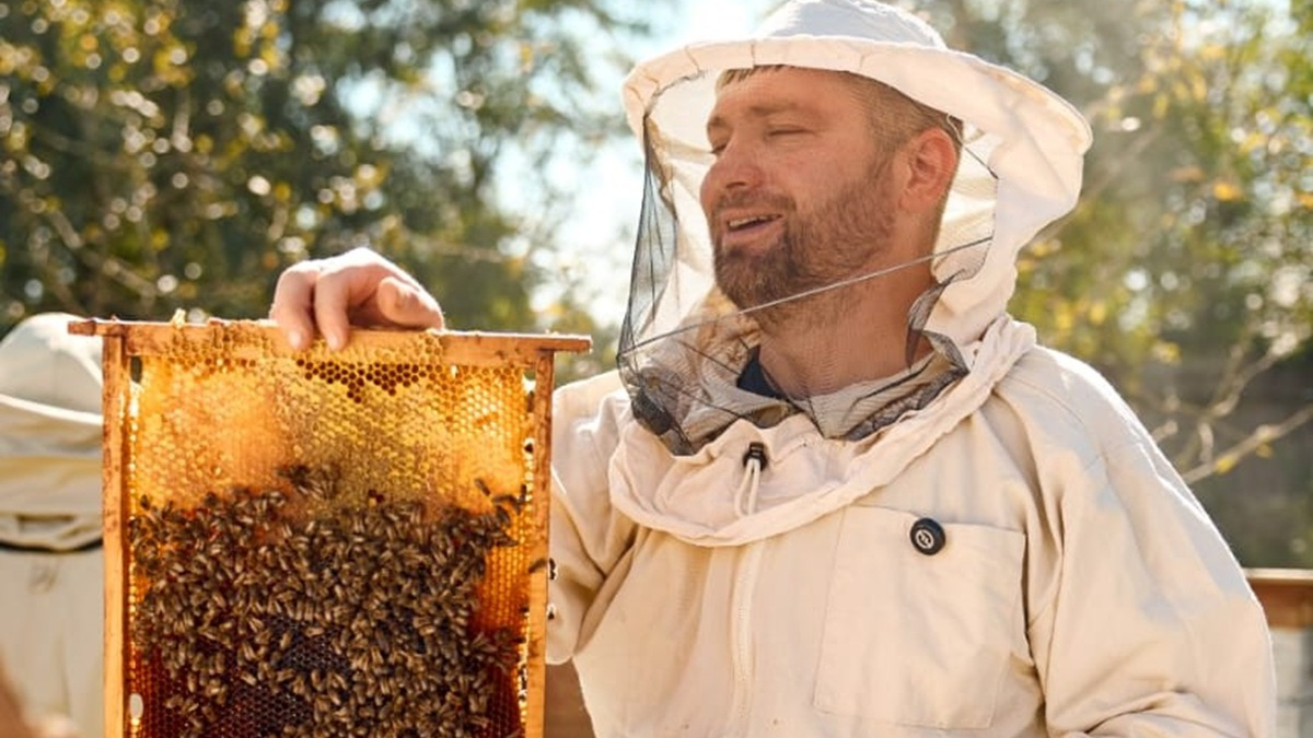 Перетворив хобі на бізнес: Олександр Федоров з протезом руки розвиває пасіку та відкрив магазин