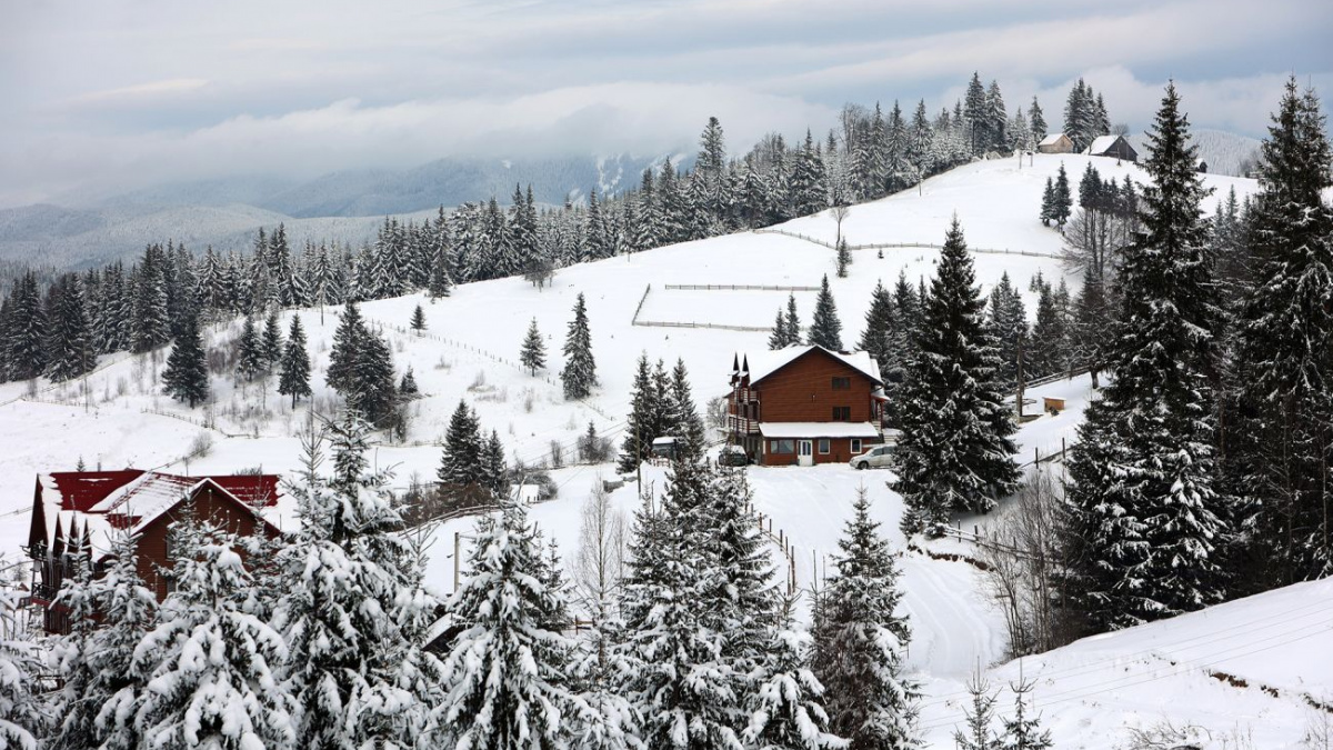 Ветеранів та військових запрошують у безкоштовну новорічну мандрівку в Карпати – умови участі