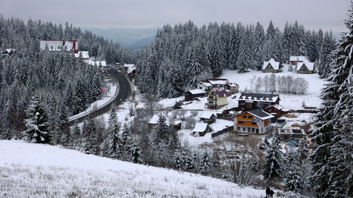 Ветеранів та військових з родинами запрошують у подорож в Карпати – подробиці