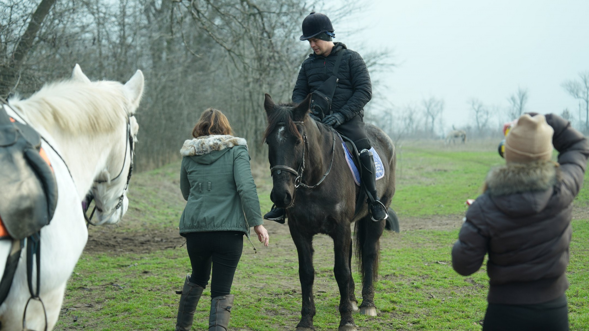 Іпотерапія для ветеранів у Запоріжжі – як коні допомагають відновлювати тіло і психіку після війни