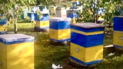 Солодка власна справа: ветеран Микола Пасішнюк відновив сімейний бізнес на Одещині на грантові кошти