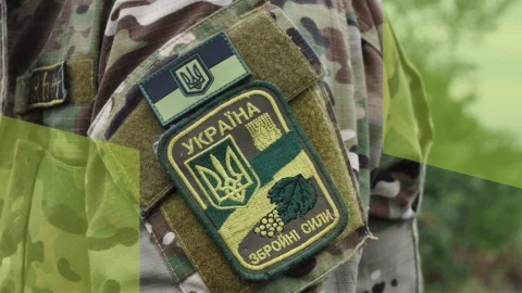 Нові програми підтримки, навчання та залучення інвестицій: ВРУ ухвалила закон про ветеранський бізнес