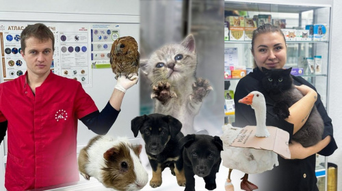 Бізнес на любові до тварин: ветеран Максим Войтюк відкрив ветеринарний центр на Житомирщині