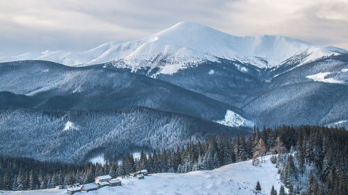Петрос, Говерла та Свидовець – ветеранів та військових запрошують у безкоштовні мандрівки Карпатами