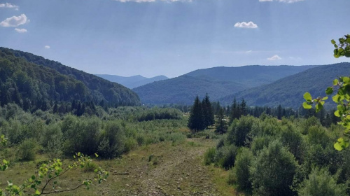 Ветеранів запрошують на відновлення до Карпат – деталі програми "Шлях до себе"