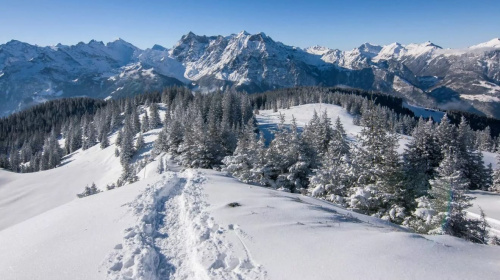 Ветеранів запрошують у спортивний табір в Карпати – як взяти участь