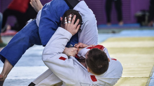 Ветеранів запрошують на навчально-тренувальні збори з бразильського джиу-джитсу у Києві – подробиці