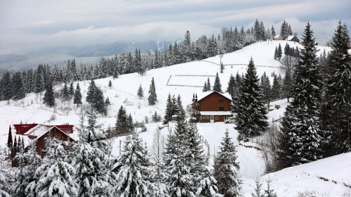 Ветеранів та військових запрошують у безкоштовну новорічну мандрівку в Карпати – умови участі