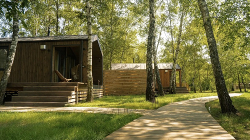 Бізнес, народжений з мрії про відпочинок: родина ветерана розвиває глемпінг на Полтавщині