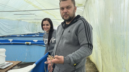 Перші на Закарпатті: ветеран Михайло Мальков з дружиною заснували унікальну акваферму