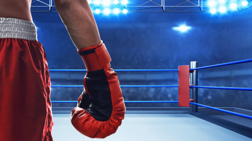 Ветерани можуть пройти навчання і стати асистентами тренерів з бойових мистецтв – подробиці