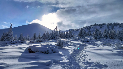 Ветеранки з Київщини можуть безкоштовно відпочити у Карпатах – як долучитися
