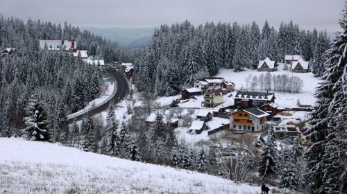 Ветеранів та військових з родинами запрошують у подорож в Карпати – подробиці