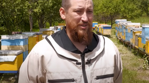 Медові продукти та виробництво вуликів: родина ветерана Дмитра Рясного відновила пасіку в Дніпрі