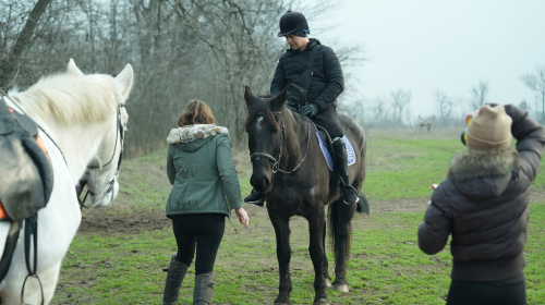Іпотерапія для ветеранів у Запоріжжі – як коні допомагають відновлювати тіло і психіку після війни